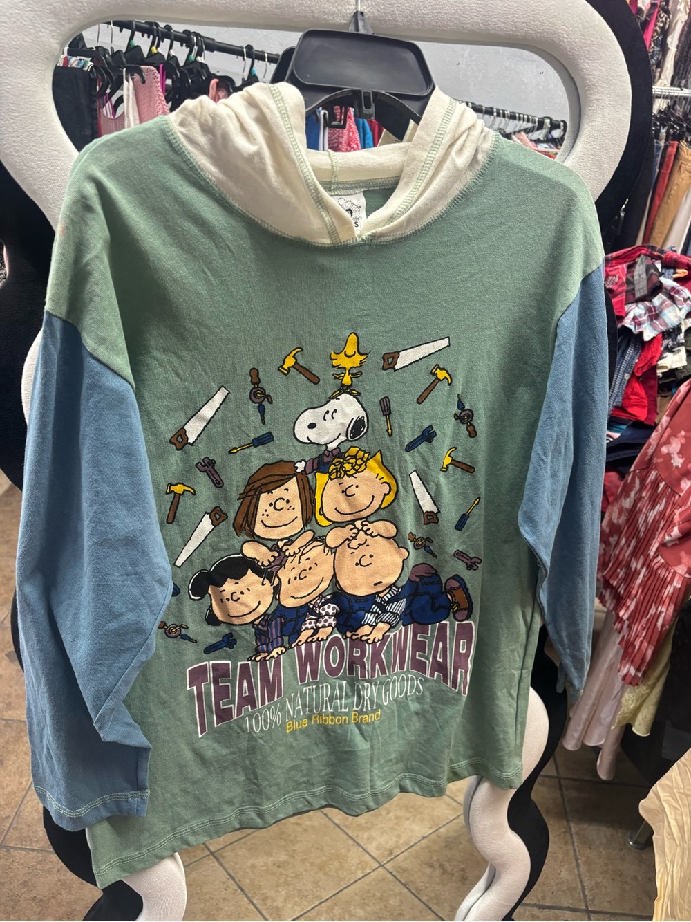 VINTAGE,Peanuts Hooded Long-Sleeve Shirt in Sage Green and Light Blue